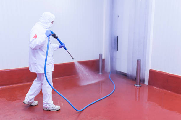 Best Solar Panel Cleaning  in Floydada, TX